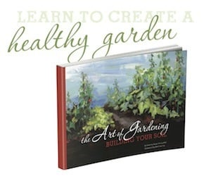 The Art of Gardening: Building Your Soil