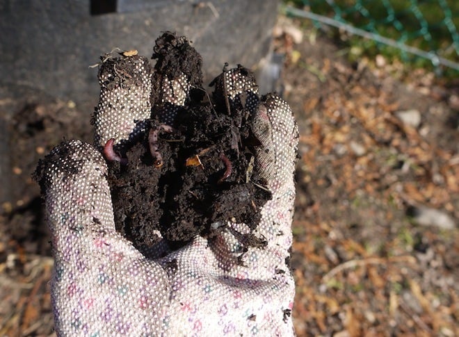 Compost is black gold! @learningandyearning