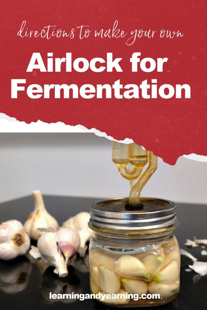 Make your own airlock for fermentation!