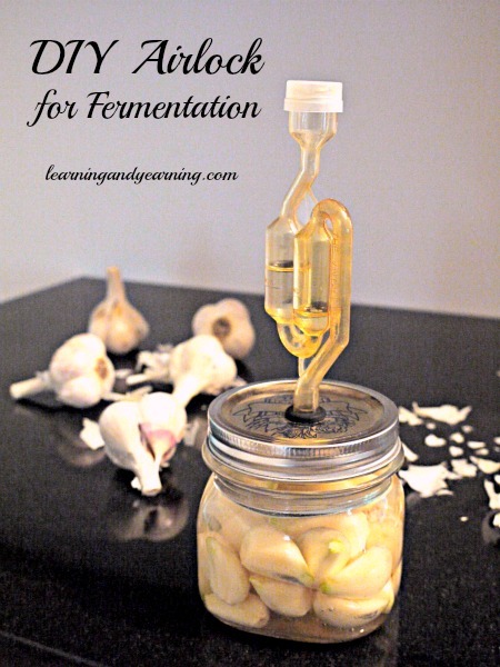 LearningAndYearning's top 10 posts on lacto-fermentation will get you started on your fermentation journey. You'll even learn how to make your own airlock! 