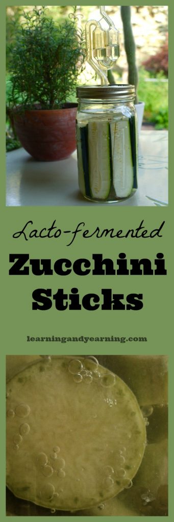 Why ferment zucchini when you can pickle it? Lacto-fermented zucchini sticks are more nutritious, more delicious, and much easier to make. That's why!