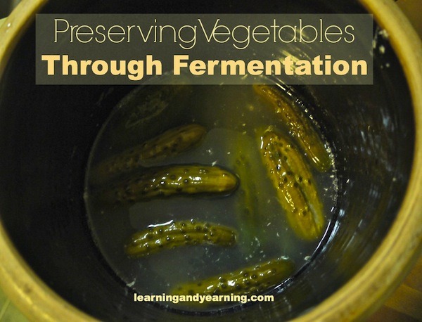 LearningAndYearning's top 10 posts on lacto-fermentation will get you started on your fermentation journey. You'll even learn how to make your own airlock! 