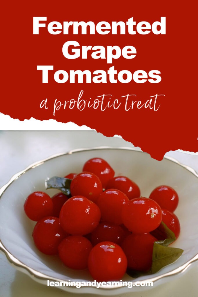 Fermented Grape Tomatoes a probiotic treat