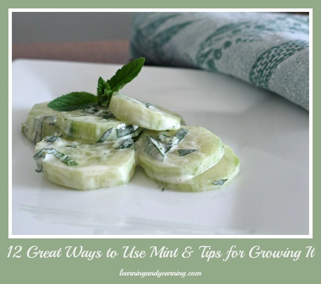 12 Great Ways to Use Mint and Tips for Growing It @learningandyearning