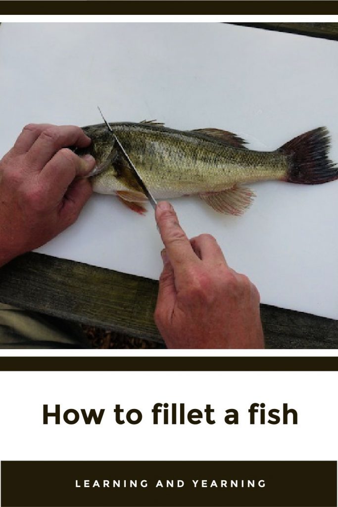How to fillet a fish!