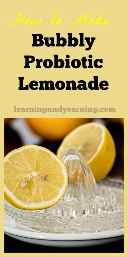 Who doesn't love a refreshing, cold glass of lemonade on a hot day? It practically says "summer". Ferment that lemonade and you've added an entire new dimension to it - probiotics and some fizz. #probiotics #lactofermented #lemonade