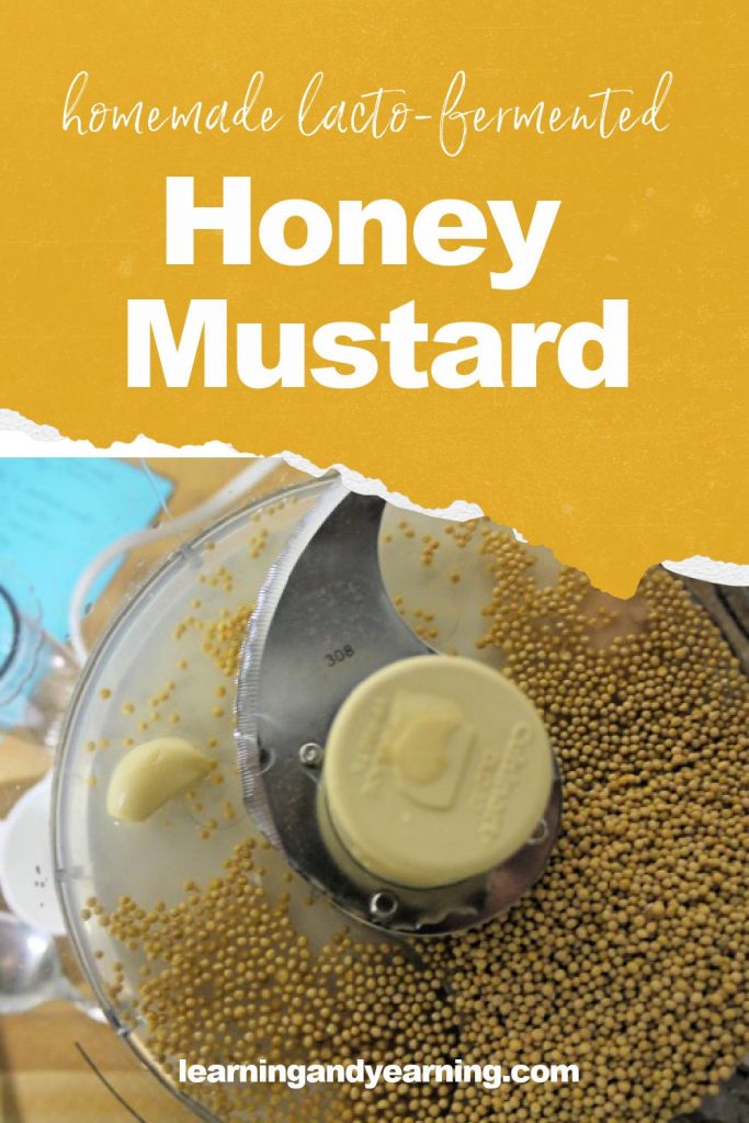 Homemade lacto-fermented honey mustard!