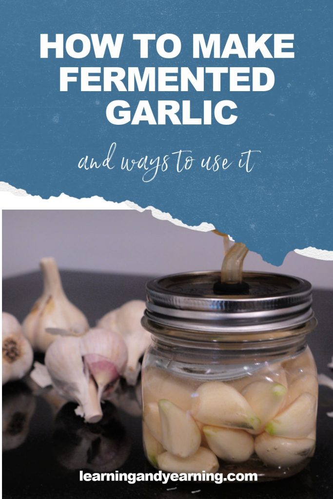 Homemade lacto-fermented garlic - and ways to use it!