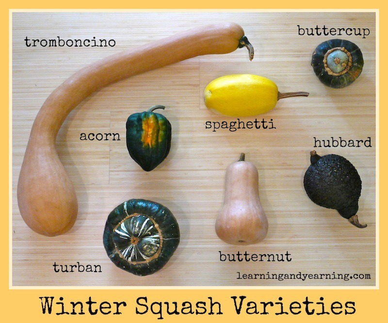 some winter squash varieties