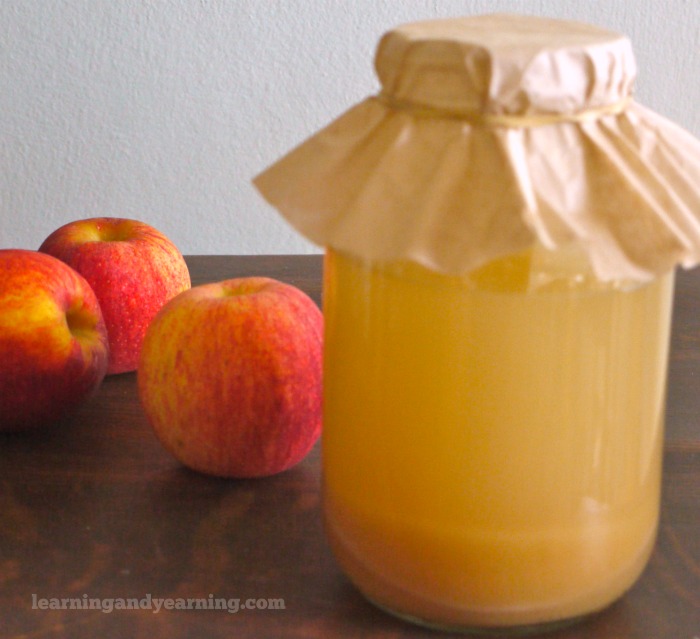 Original Apple Cider Vinegar- Little Apple Treats