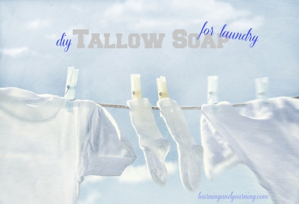 Make your own tallow soap for laundry.