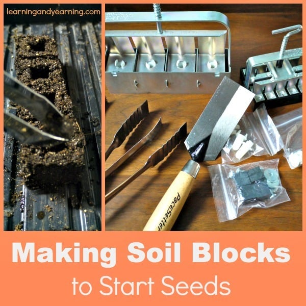 Did you know that you can start seeds without pots? Soil blocks are small, compressed blocks of soil in which seeds are started and are a great way to insure healthy seedlings. 