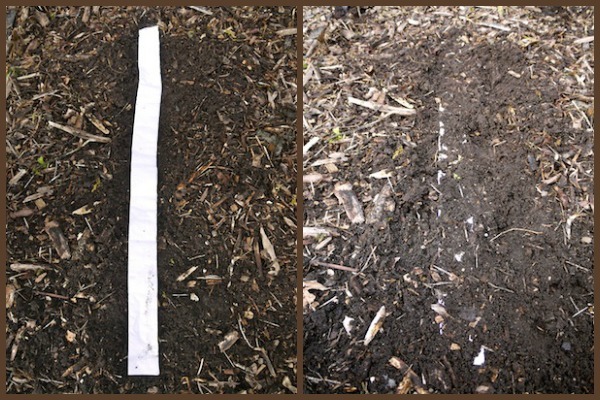 Lay the seed tape in your garden (l), and cover with soil (r).