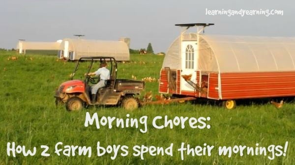 Morning Chores: How 2 farm boys spend their mornings!