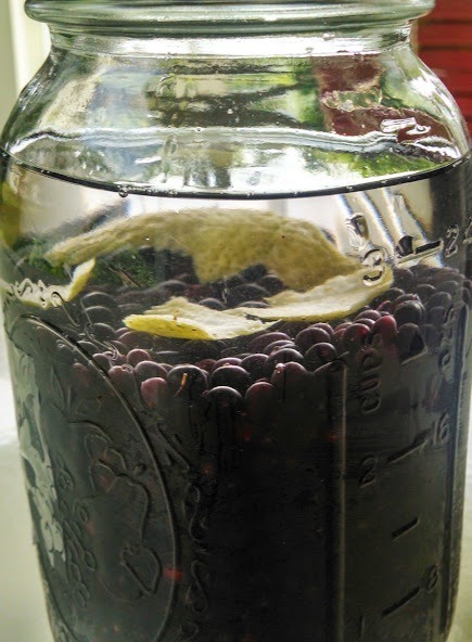 Elderberry Liquor