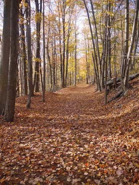Fall: The Perfect Time for a Hike