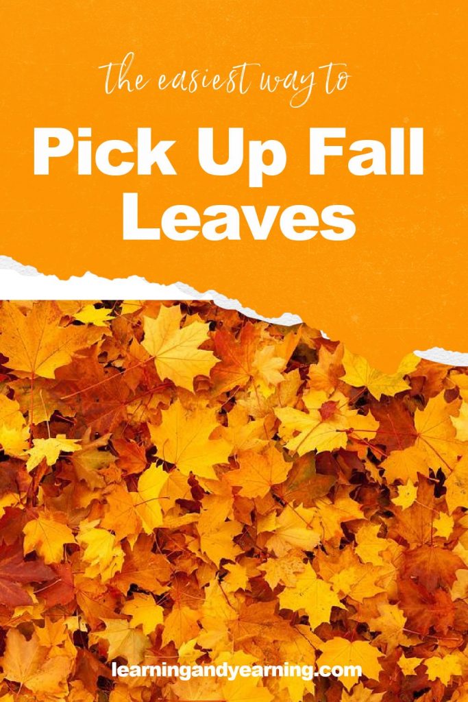 The easiest way to pick up fall leaves!