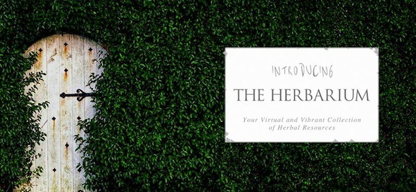 Introducing The Herbarium