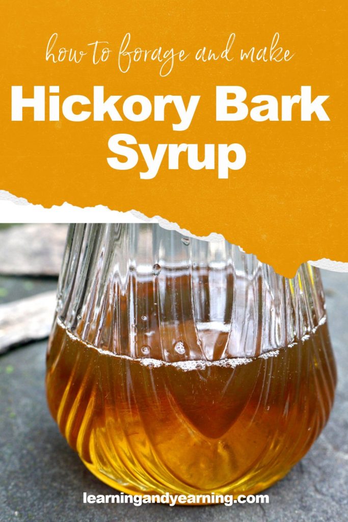 Learn to forage and make hickory bark syrup!