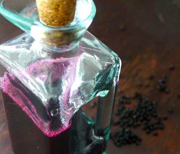 Supercharge Your Elderberry Syrup with foraged plants to boost immune building properties.