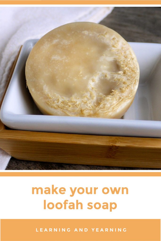 Make your own exfoliating loofah soap!
