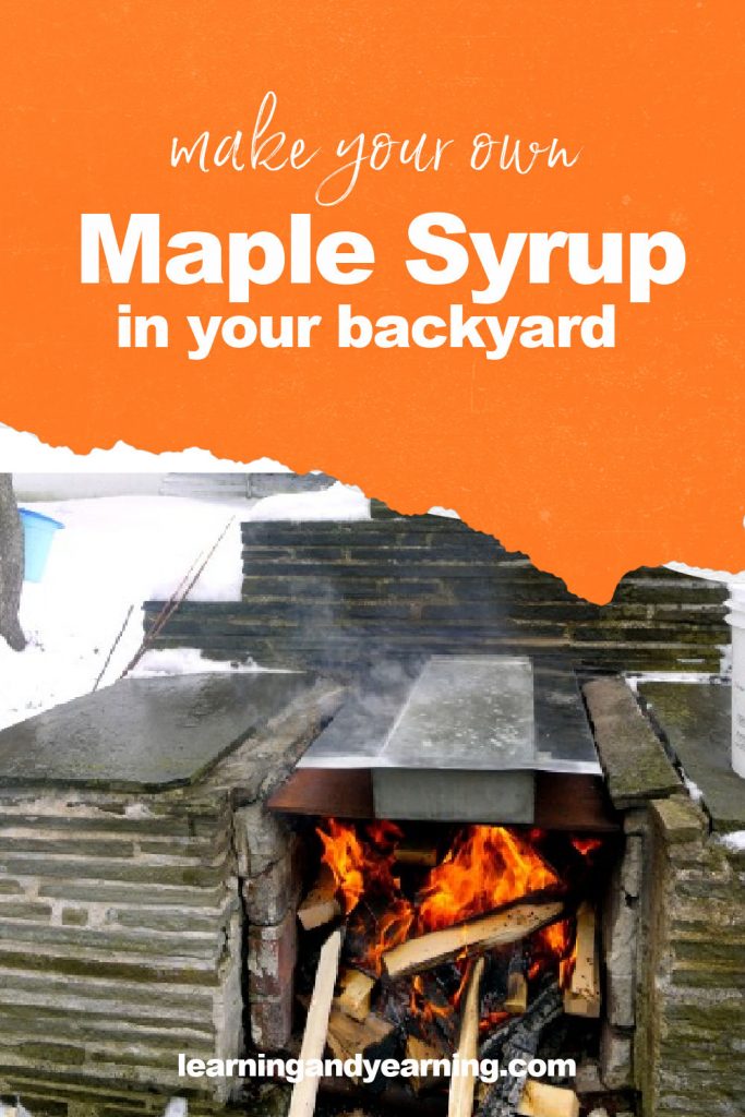 Backyard maple sugaring!