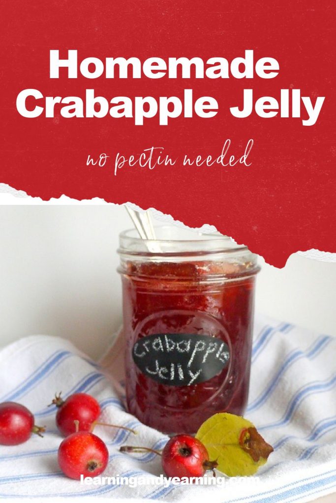 Homemade crabapple jelly recipe!