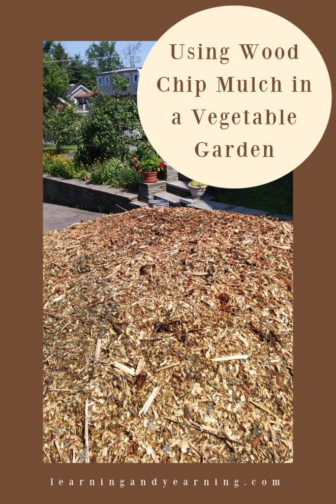 using wood chip mulch in a vegetable garden