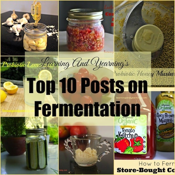 LearningAndYearning's top 10 posts on lacto-fermentation will get you started on your fermentation journey. You'll even learn how to make your own airlock! 