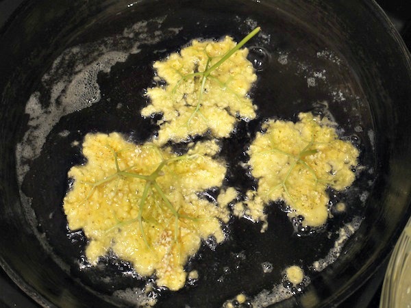 If you're looking for a great treat from a foraged flower, try crispy, crunchy, elderflower fritters!