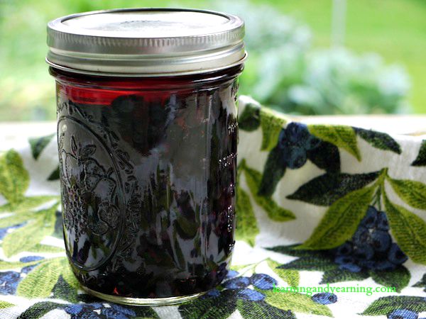 lacto fermented blueberries