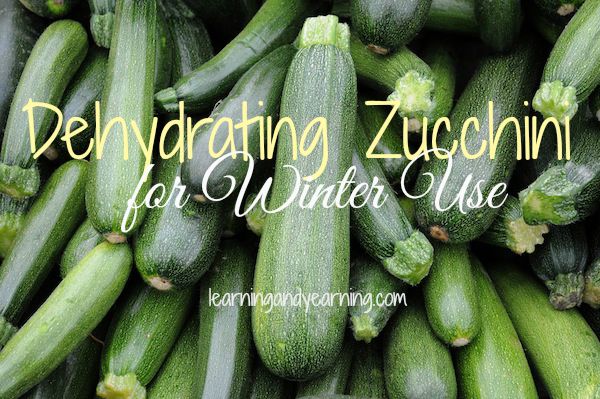 Dehydrating zucchini is a great way to preserve it for winter use in soups, stews, and even chili!
