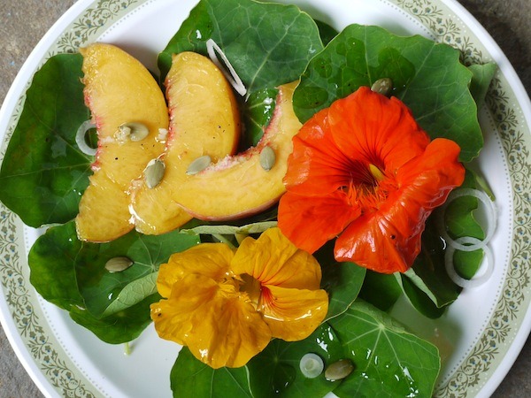 Eat the Flowers: Nasturtium Salad with Peaches and Pepitas: A nasturtium salad may just be one of the prettiest, and tastiest, salads to grace your table this summer. 