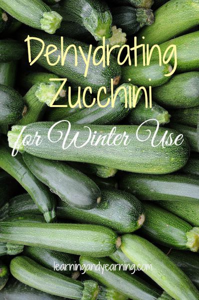 Dehydrating Zucchini for Winter Use