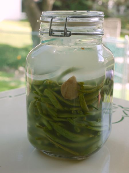 Fermented green beans are tasty, still raw, and more nourishing after months in the refrigerator than the day they were harvested. Hard to beat that, isn't it?