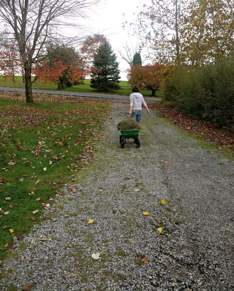 Collecting grass clippings