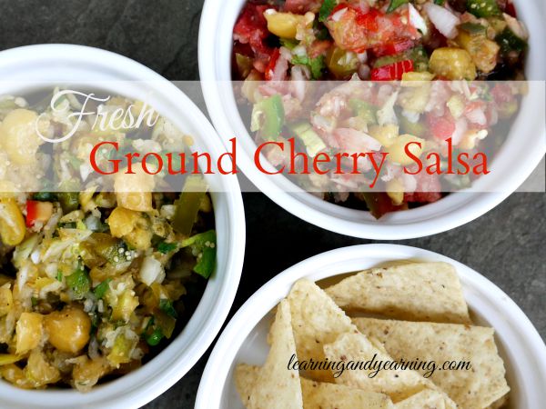 The next time you're planning to make fresh salsa try something a little different like ground cherry salsa. Sweet and a little hot all at the same time. 