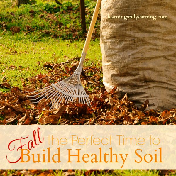 The active gardening season is winding down. You've harvested your vegetables and have been busy putting them up for the winter. But if you want another productive garden next year, don't make the mistake of thinking your job is now complete. What you do now to build healthy soil and put your garden to bed for the winter can make or break next year's garden.