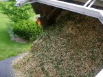 Ramial wood chips for organic garden