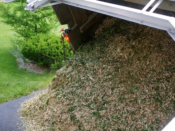 Top 10 Reasons to Choose Wood Chips Over Other Types of Mulch - Leaf & Limb