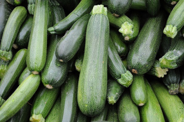  zucchini for dehydrating