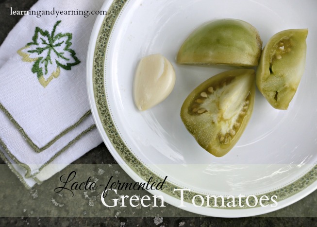 Lots of green tomatoes? Fermentation is a great way to preserve the harvest and add probiotics to your diet. And making fermented green tomatoes is easy.