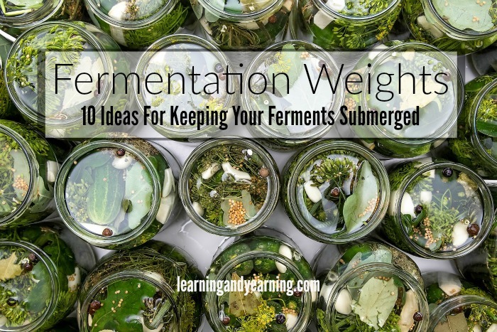 Fermentation weights. 