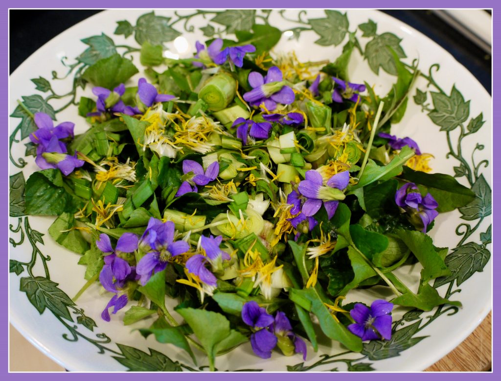Salad with wild greens and edible flowers