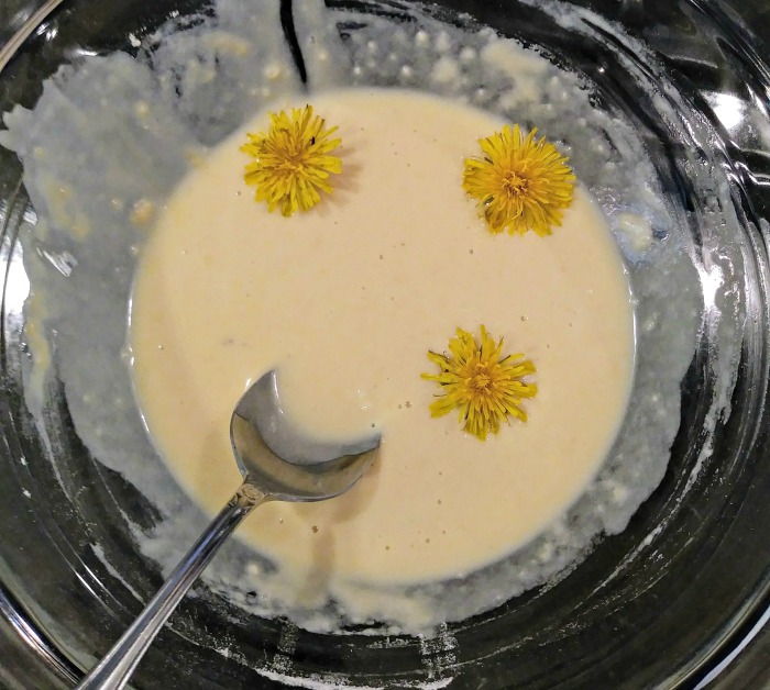 Dandelion flowers in fritter batter.