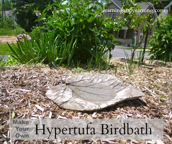 birdbath made with rhubarb leaves as the mold - one of many ways to use rhubarb leaves
