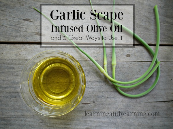 Are you growing hardneck garlic? Use the scapes to make a delicious scape infused olive oil. It's great in dressings, for dipping, and more!