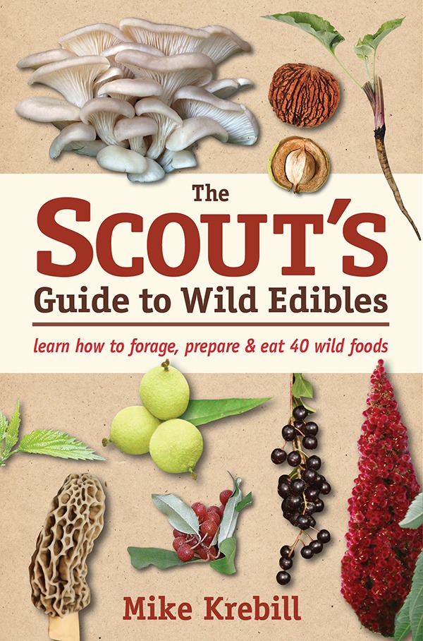 The Scout's Guide to Wild Edibles isn't just for kids. This delightful, pocket-sized guide helps beginners of all ages to identify 40 wild edibles. Recipes and activities included!