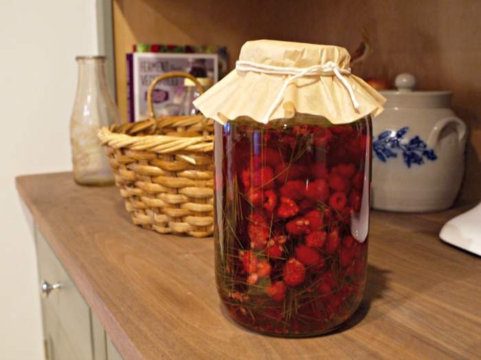 Inspired by a new cookbook, I've created a wonderful foraged combination - pine needle and raspberry soda which is fermented with wild yeast!