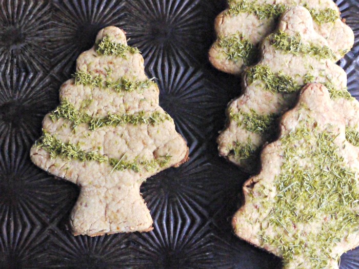 Who needs artificially colored sugar sprinkles when you can decorate your cookies with something you've foraged? Ground pine needles are edible and yummy and perfect for decorating these pine needle cookies! 
